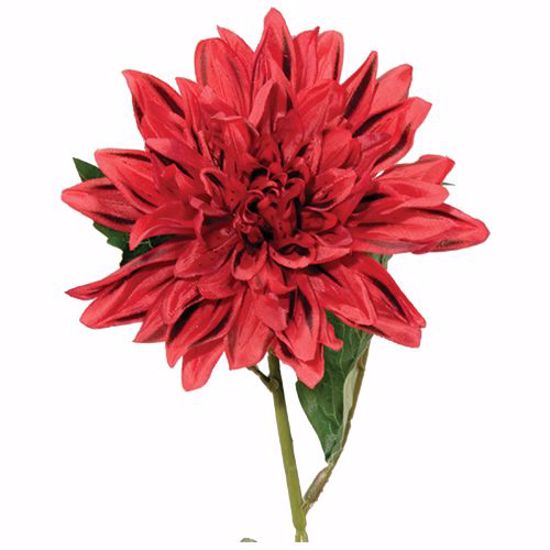 Picture of Red Dahlia Stem (26.5")