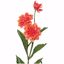Picture of 27.5" Dahlia Spray x 3