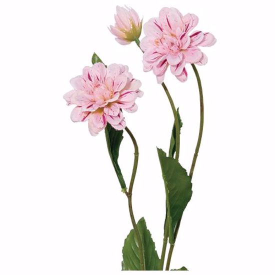 Picture of Pink Dahlia Spray (3 Stems, 27.5")