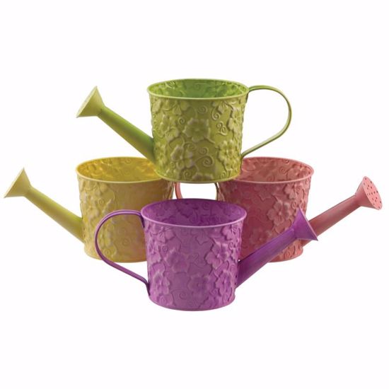 Picture of Bright Tone Floral Watering Can-4 Assorted Colors, 4.5"