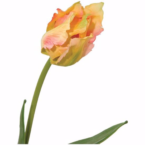 Picture of Gold Wild Tulip Stem with 2 Leaves (20")
