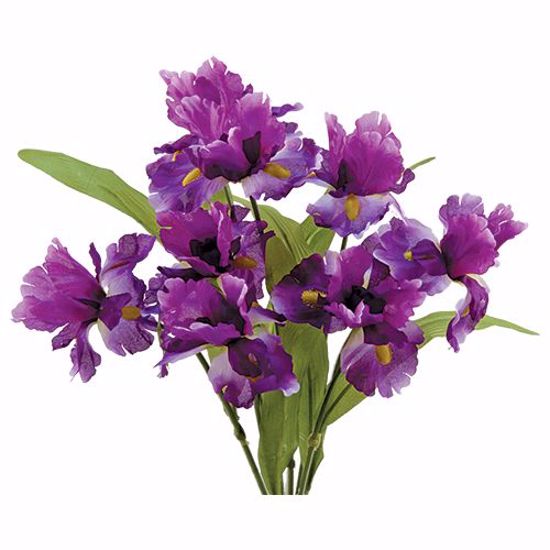 Picture of Purple Iris Bush  (8 Stems, 18")