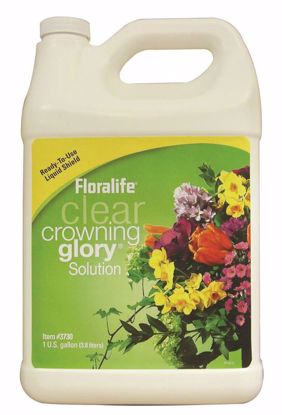 Picture of Floralife Crowning Glory Clear Solution - 1 Gallon Bottle