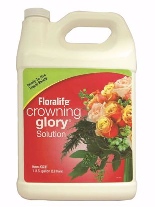 Picture of Floralife Crowning Glory  Original Solution - 1 Gallon Bottle