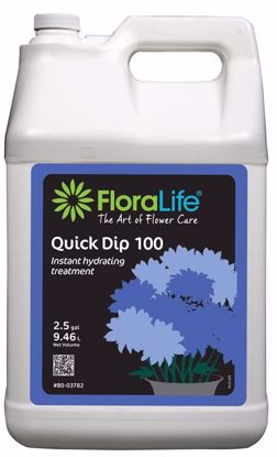 Picture of Floralife Quick Dip Liquid 100 Instant Hydrating Treatment - 2.5 Gallon Jug w/Pump