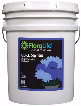 Picture of Floralife Quick Dip Liquid 100 Instant Hydrating Treatment - 5 Gallon Pail