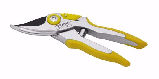 Picture of Oasis Branch Cutter