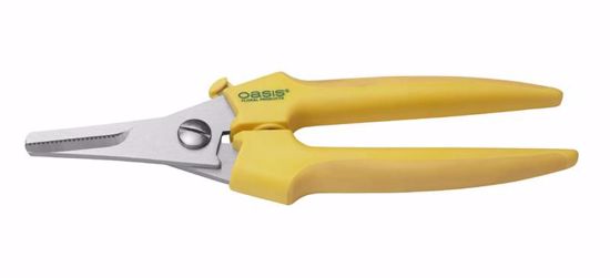 Picture of Oasis Bunch Cutter