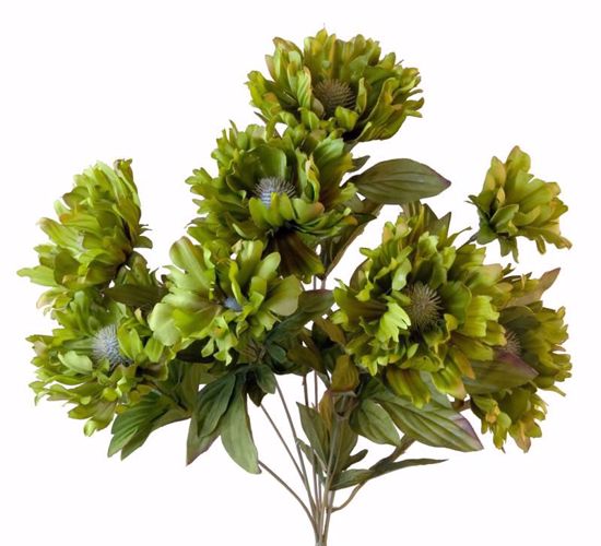 Picture of Green Peony Bush (8 Stems, 18")