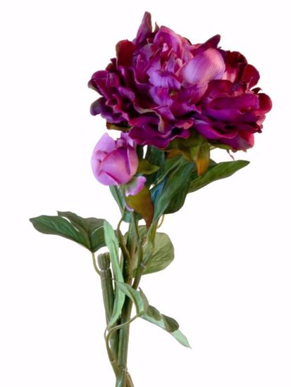 Picture of Purple Peony Stem (2 Stems, 23.5")