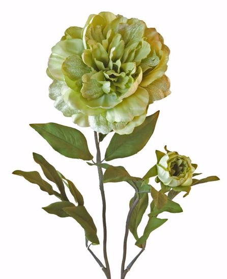 Picture of Green Peony Spray (2 Stems, 30")