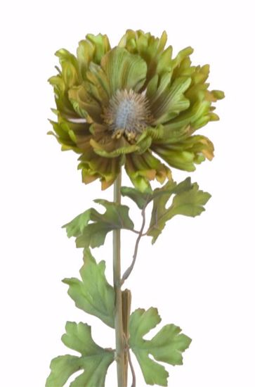 Picture of Green Wild Poppy Stem-25"