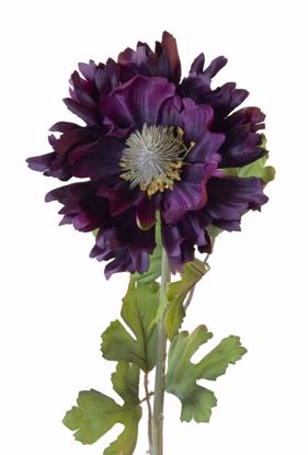 Picture of Purple Wild Poppy Stem-25"