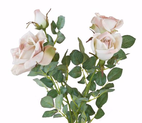 Picture of Light Pink Diamond Rose Bush (4 Stems, 21")