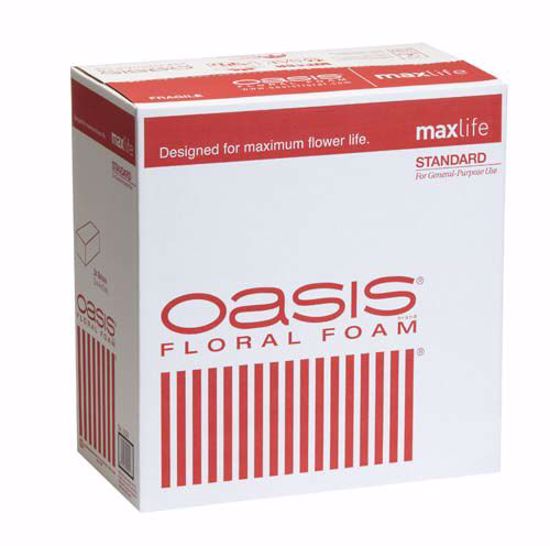 Picture of Oasis Standard Floral Foam Maxlife (24 Pack)