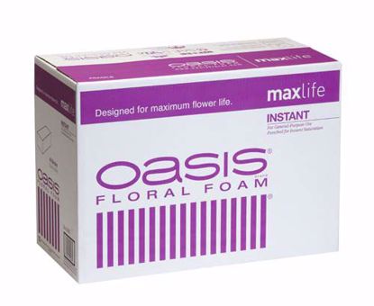 Picture of Oasis Instant Floral Foam Maxlife (48 Pack)