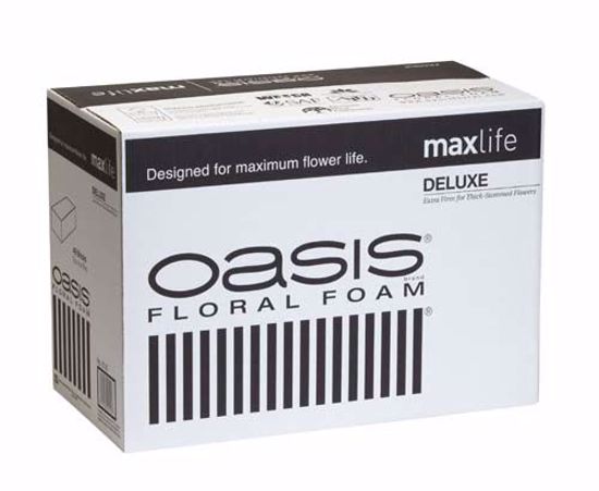 Picture of Oasis Deluxe Floral Foam Maxlife (48 Pack)