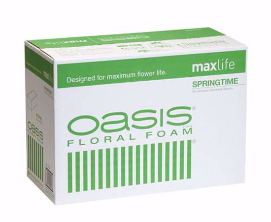 Picture of Oasis Springtime Floral Foam Maxlife (48 Pack)