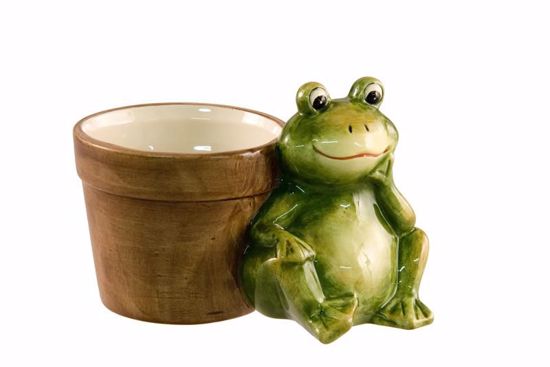 Picture of Round Ceramic Frog Planter