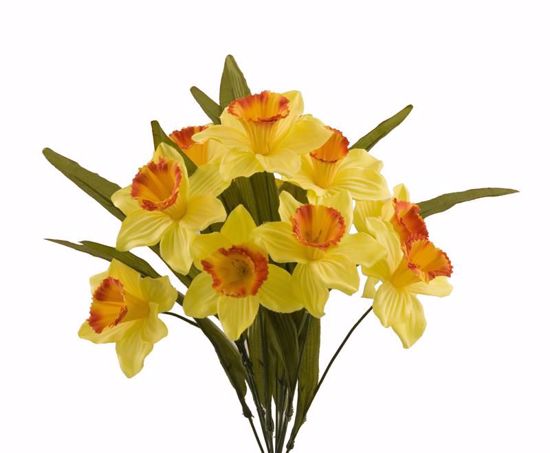 Picture of Daffodil Bush (12 Stems, 18")