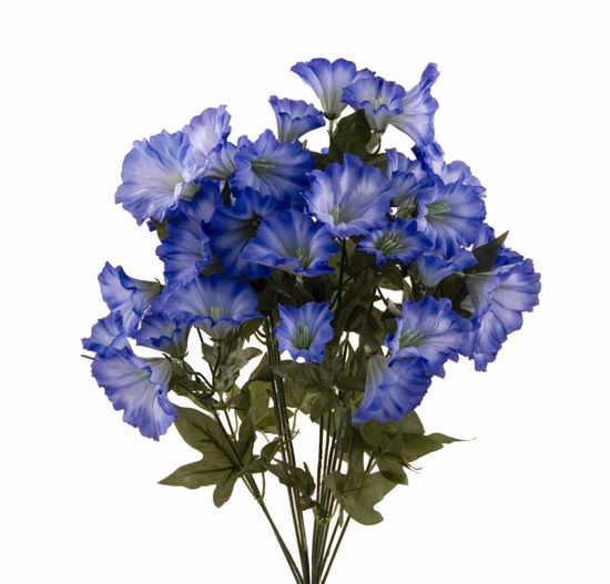 Picture of 22" Blue Petunia Bush x 14