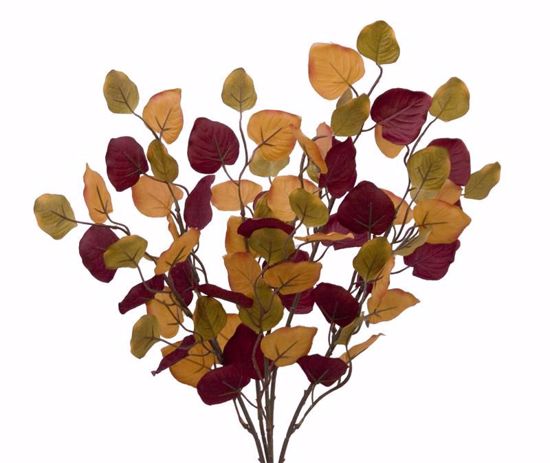 Picture of Fall Colors Eucalyptus Bush-5 Stems, 22"