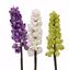 Picture of 3 Asst. 21.5" Bell Flower Stems