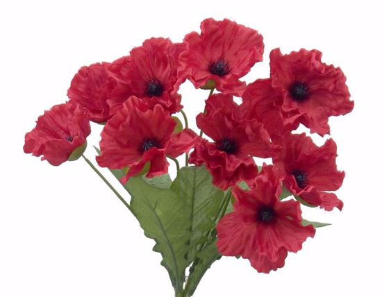 Picture of Red Poppy Bush (9 Stems, 20")