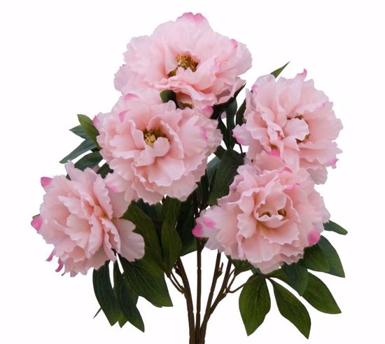 Picture of Pink Peony Bush (5 Stems, 19")
