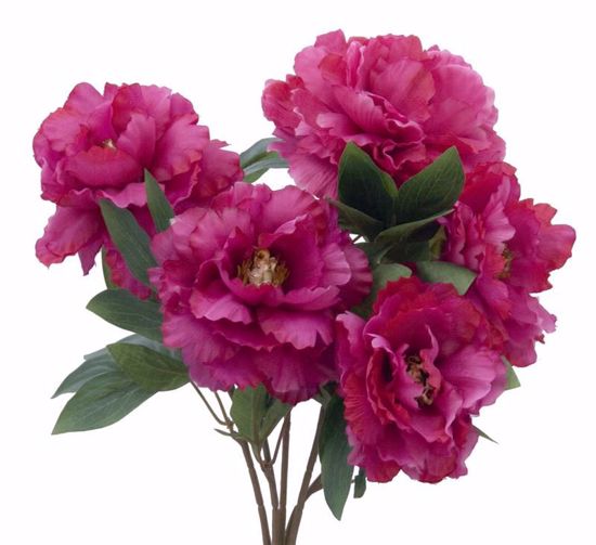 Picture of Fuchsia Peony Bush (5 Stems, 19")