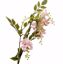 Picture of 36" Sweet Pea Spray x 3