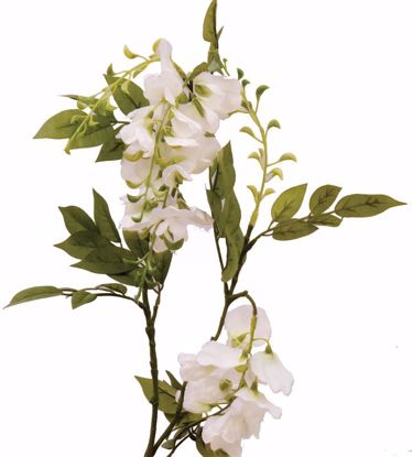 Picture of Cream Sweet Pea Spray (3 Stems, 36")