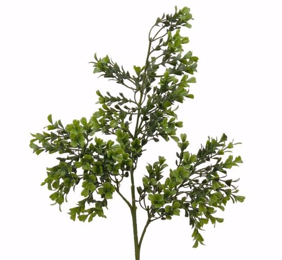 Picture of Boxwood Spray (3 Stems, 26")