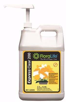 Picture of Floralife Express Clear 200 - 2.5 Gallon Jug w/Pump