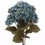 Picture of 21" Aqua Hydrangea Bush x 7