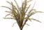 Picture of 21" Heather Onion Bush x 10
