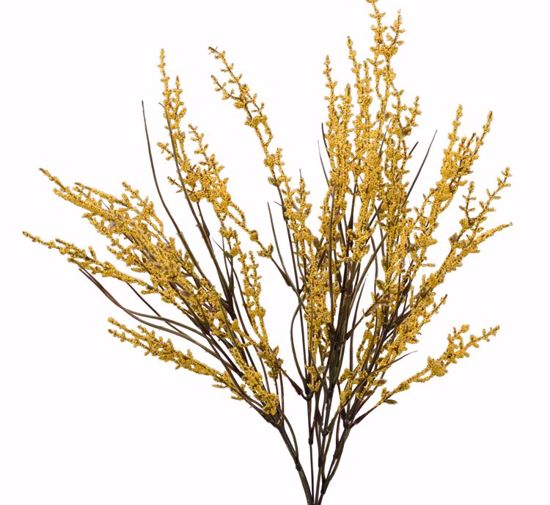 Picture of Yellow Blossom Berry Bush (9 Stems, 23")