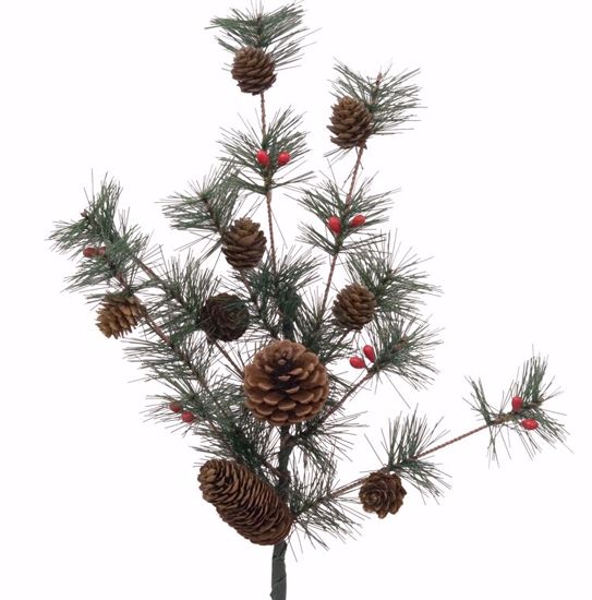 Picture of Evergreen Spray-Berry Pine (8 Stems, 27")