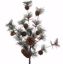 Picture of 27" Berry Pine Spray x 8