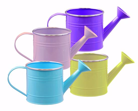 Picture of Pastel Metal Watering Cans - 4 Assorted