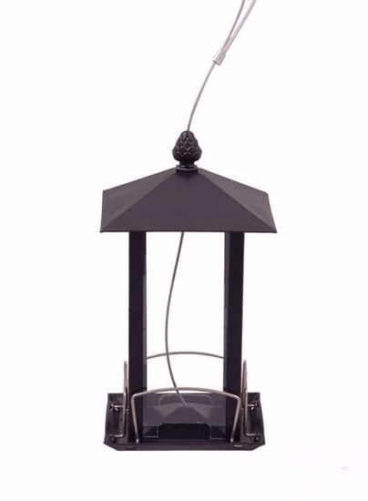 Picture of Black Sheet Iron And Glass Bird Feeder
