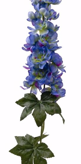 Picture of 34" Blue Delphinium Stem