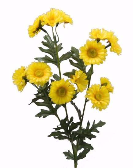 Picture of Yellow Daisy Spray (29")
