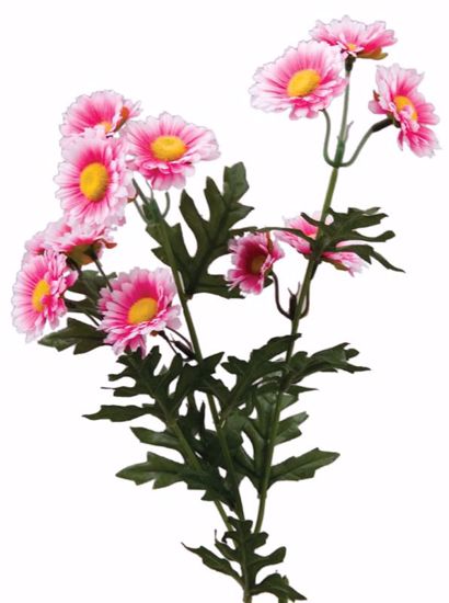 Picture of Pink Daisy Spray (29")