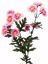 Picture of 29" Daisy Spray