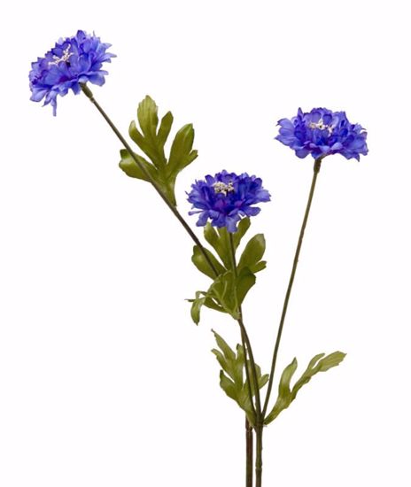 Picture of Blue Corn Flower Stem (26")