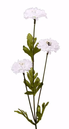 Picture of White Cornflower Stem (26")