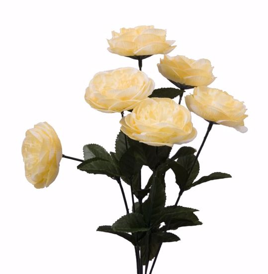 Picture of Yellow Cabbage Rose Bush (6 Stems, 17")