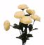 Picture of 17" Cabbage Rose x 6