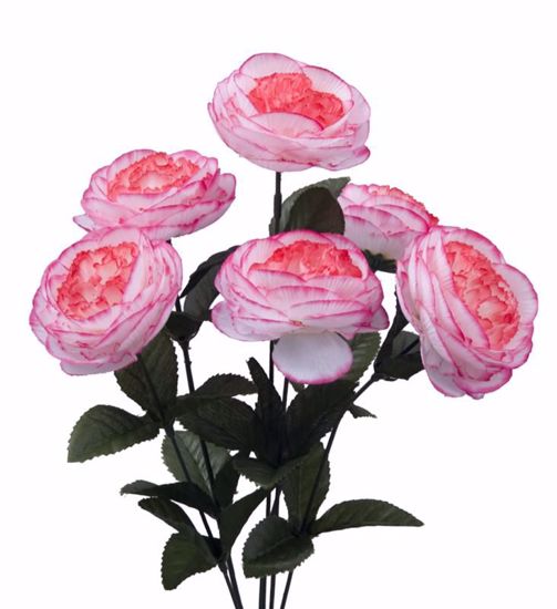 Picture of Pink Cabbage Rose Bush (6 Stems, 17")